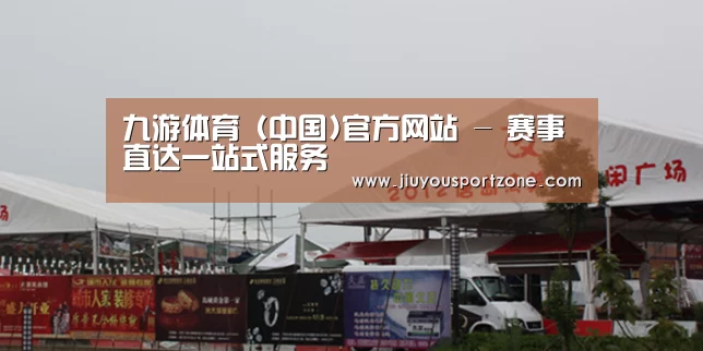 案例标题十