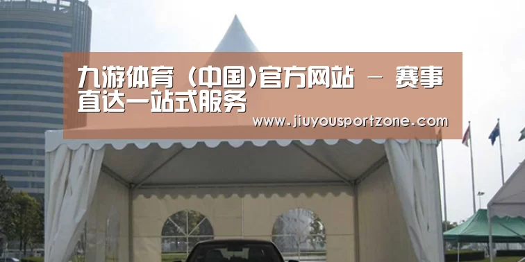 案例标题八