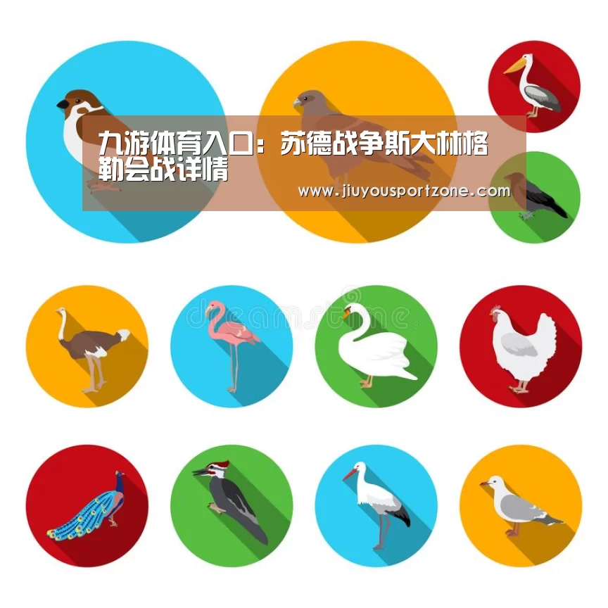 九游体育入口：苏德战争斯大林格勒会战详情