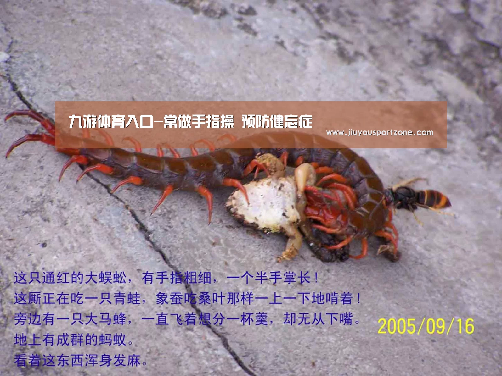 九游体育入口-常做手指操 预防健忘症(图2) 九游体育入口-常做手指操 预防健忘症(图2)
