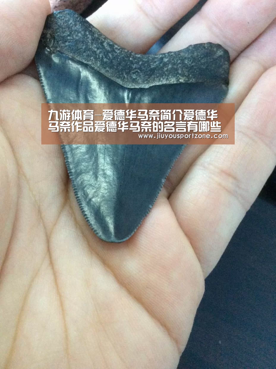 九游体育官网