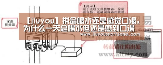 九游体育入口