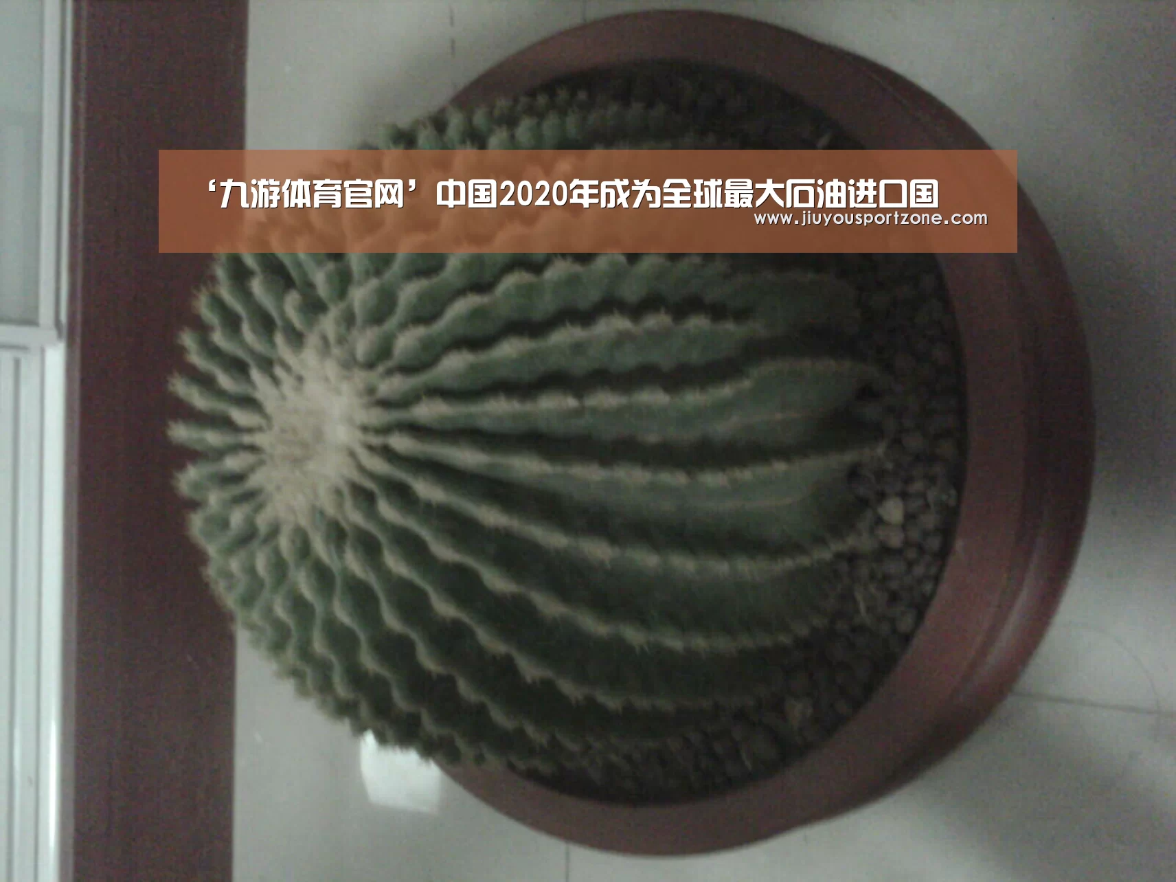 ‘九游体育官网’中国2020年成为全球最大石油进口国(图2) 九游体育